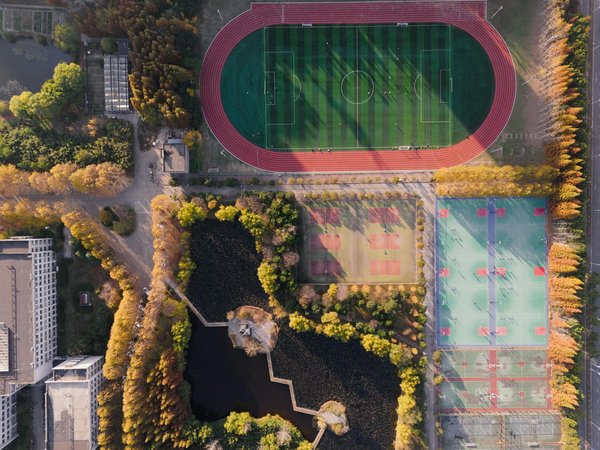 Blessures de basketball et nutrition : Quel rôle pour une récupération rapide ?